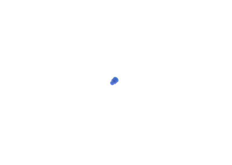 Bosch 1928300599 Seal - 6