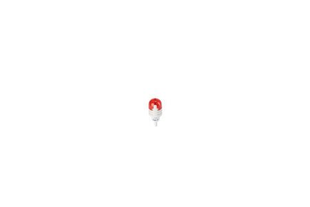 Bosch 1987301528 Bulb, direction indicator - 2