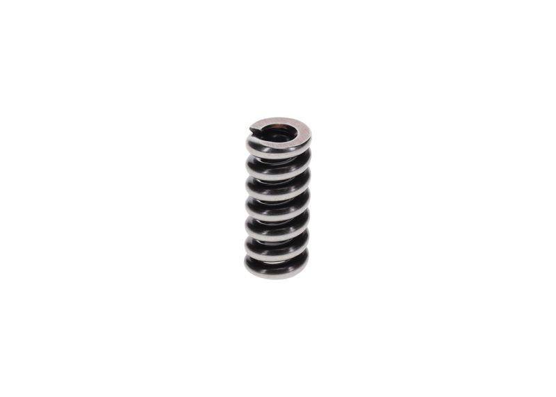 Bosch 2434619055 Spring - 2