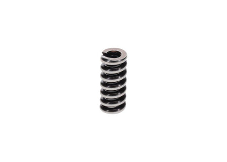Bosch 2434619055 Spring - 2