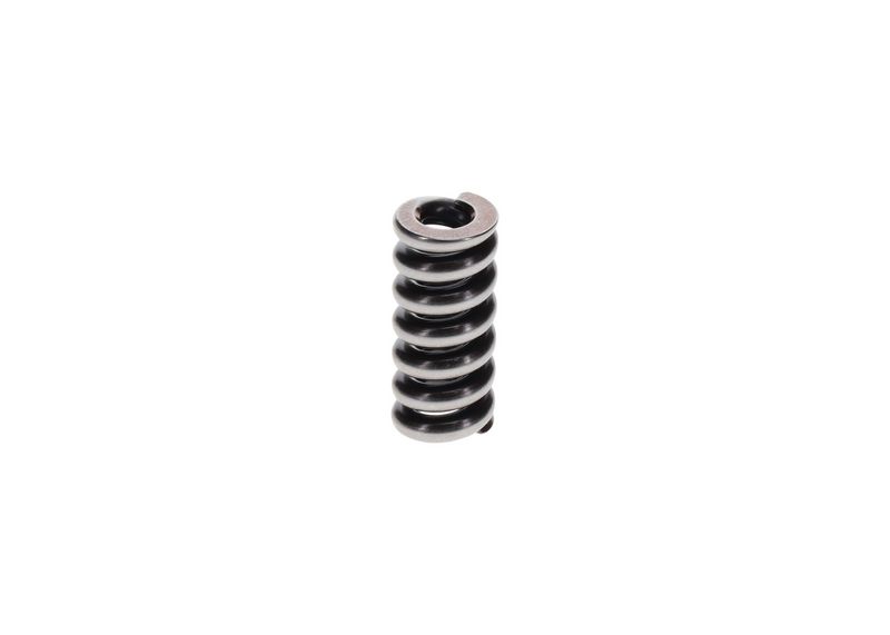 Bosch 2434619055 Spring - 3