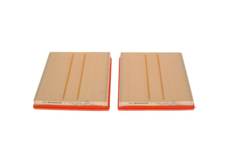 Bosch F026400429 Air Filter - 1