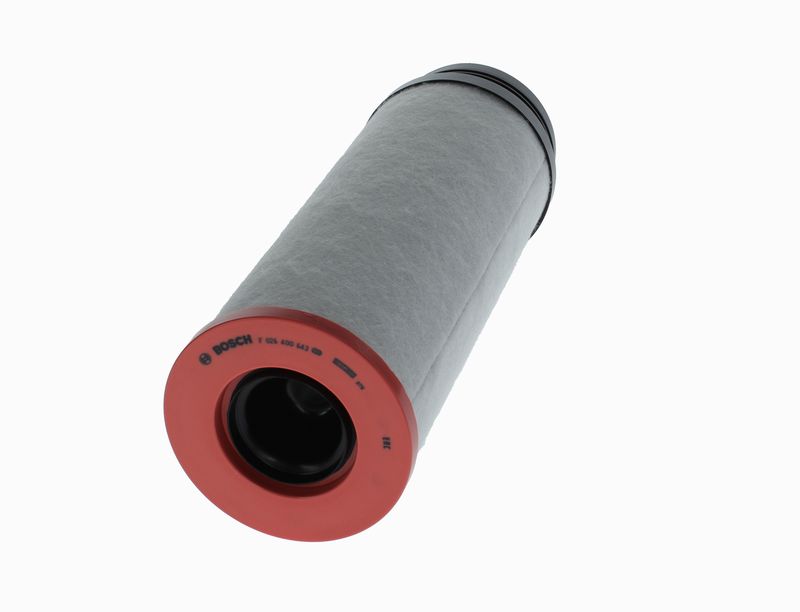 Bosch F026400643 Secondary Air Filter - 6