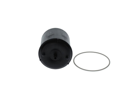 Bosch F026407119 Oil Filter - 2