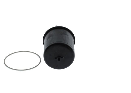Bosch F026407119 Oil Filter - 4