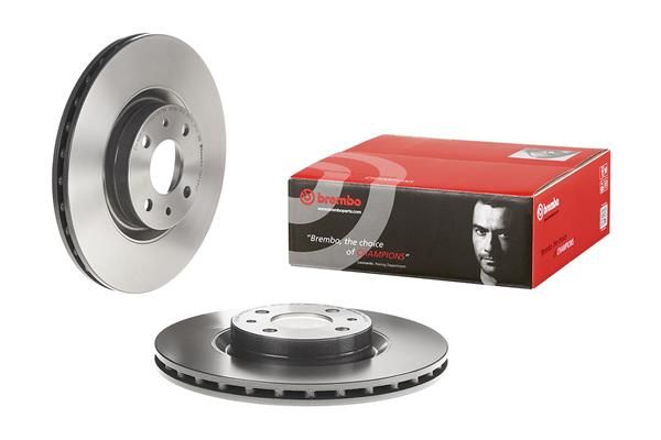 Brembo 09.4939.11 Brake Disc - 1