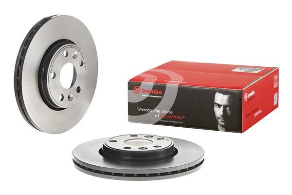 Brembo 09.8137.31 Brake Disc - 1
