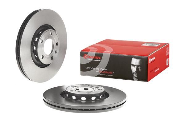 Brembo 09.8690.11 Brake Disc - 1