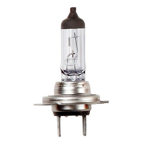 12V 55W H7 Px26d Headlamp Halogen