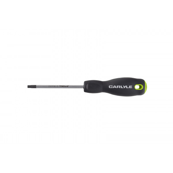 T30 X 100mm Torx Screwdriver