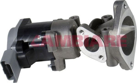 Cambiare VE360046 EGR Valve - 1