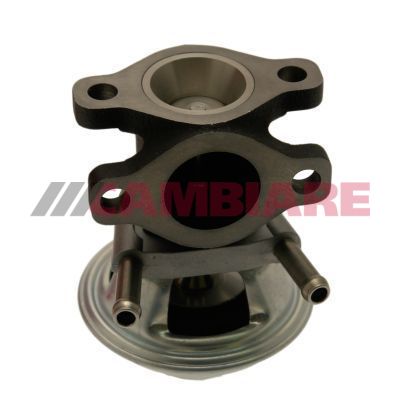 Cambiare VE360066 EGR Valve - 1