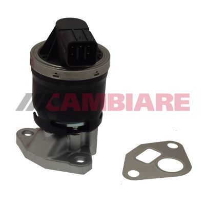 Cambiare VE360124 EGR Valve - 1