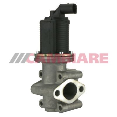 Cambiare VE360171 EGR Valve - 1