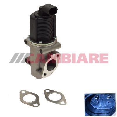 Cambiare VE360172 EGR Valve - 1