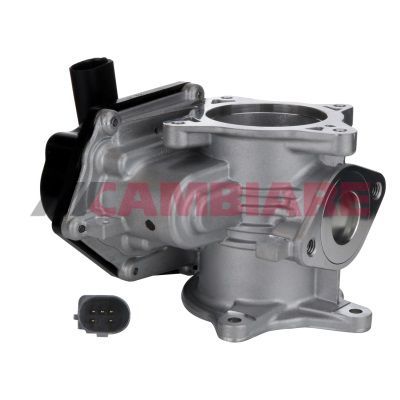 Cambiare VE360227 EGR Valve - 1
