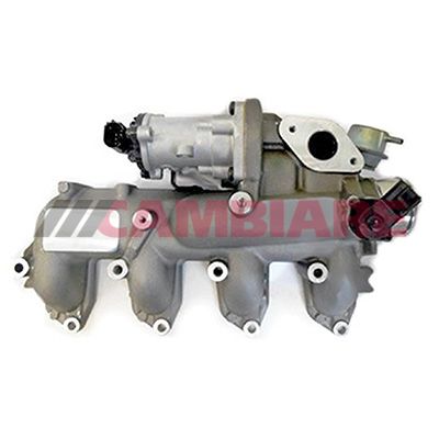 Cambiare VE360274 EGR Valve - 1