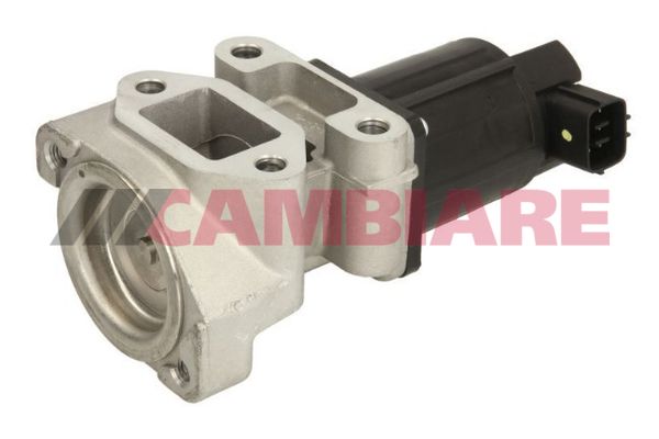 Cambiare VE360324 EGR Valve - 1