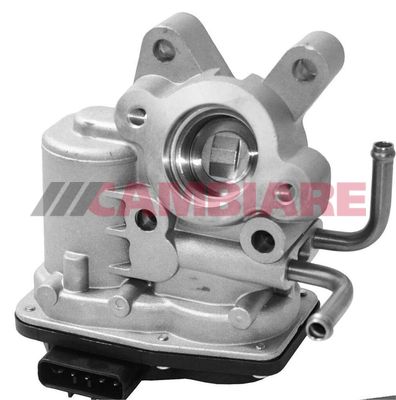 Cambiare VE360359 EGR Valve - 1