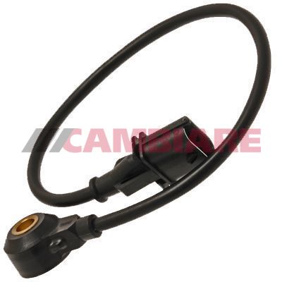 Cambiare VE369018 Knock Sensor - 1