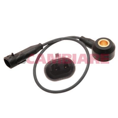 Cambiare VE369042 Knock Sensor - 1