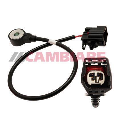 Cambiare VE369043 Knock Sensor - 1