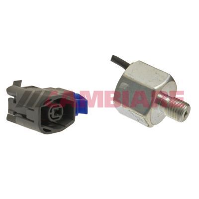 Cambiare VE369059 Knock Sensor - 1