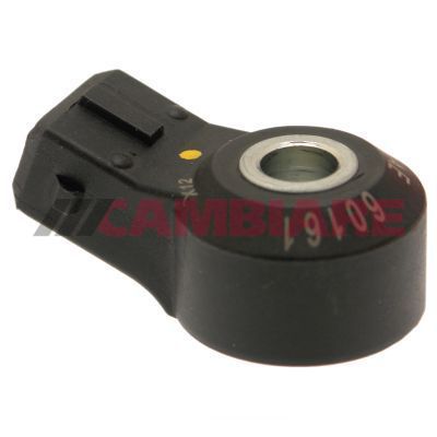 Cambiare VE369064 Knock Sensor - 1