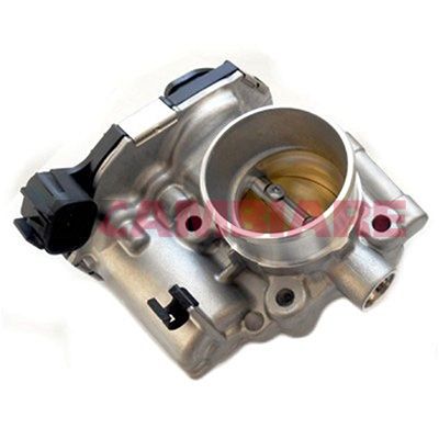 Cambiare VE387143 Throttle Body - 1