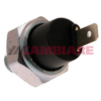 Cambiare VE706037 Oil Pressure Switch - 1