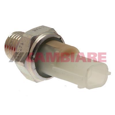 Cambiare VE706091 Oil Pressure Switch - 1
