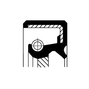 Corteco 19027781B Shaft Seal, differential - 1