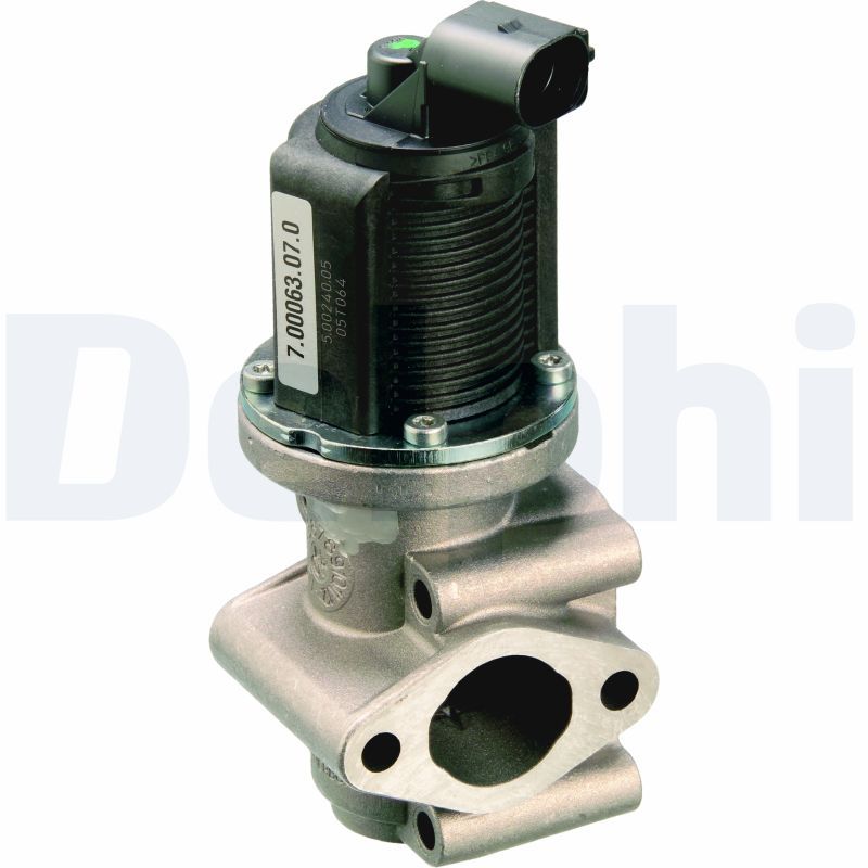 Delphi EG10259-12B1 EGR Valve - 1