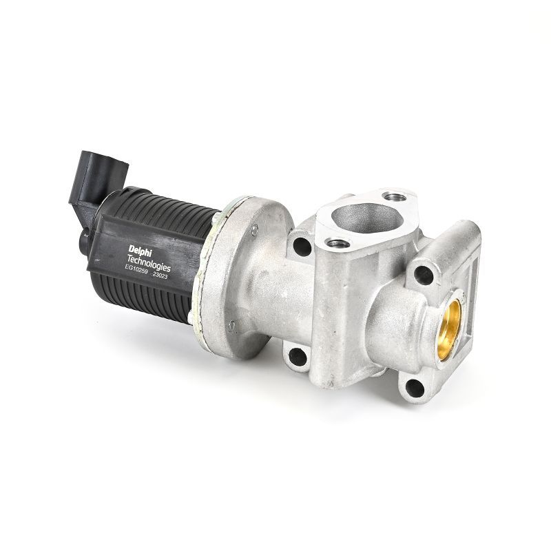 Delphi EG10259-12B1 EGR Valve - 4