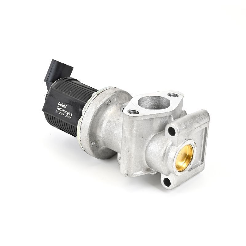 Delphi EG10259-12B1 EGR Valve - 5