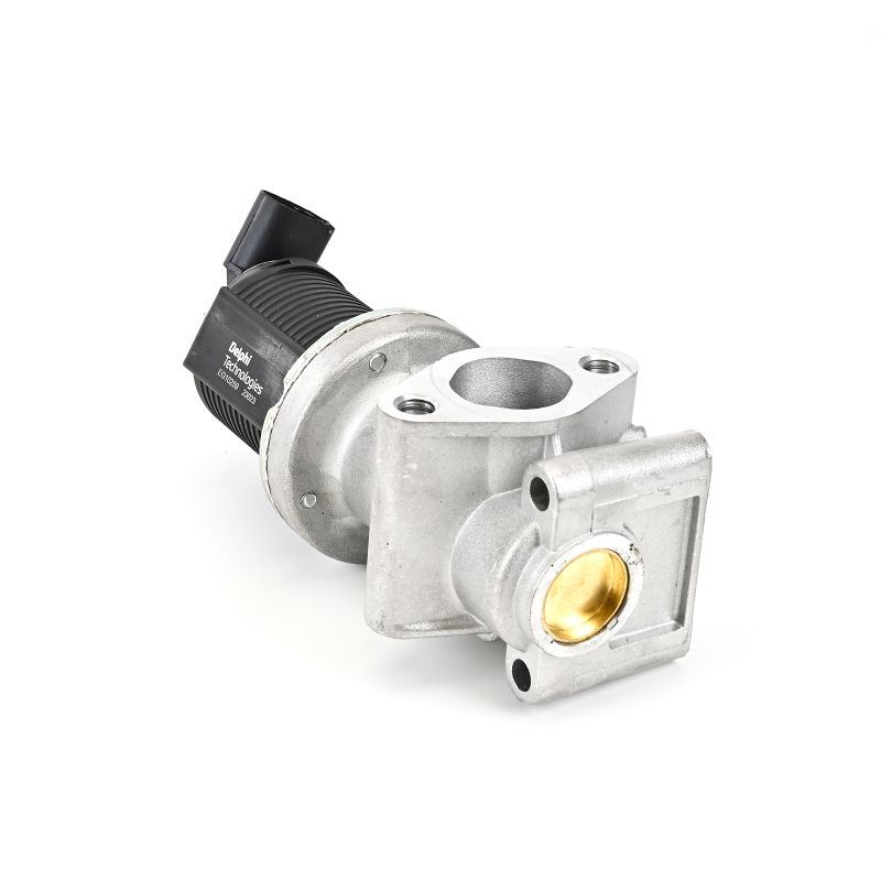 Delphi EG10259-12B1 EGR Valve - 6