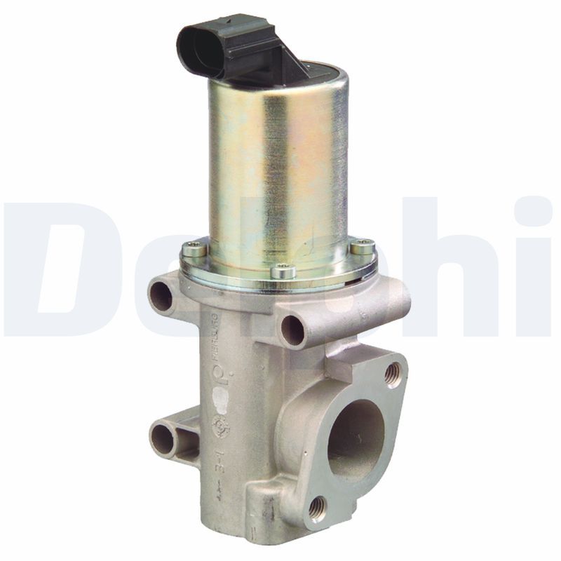 Delphi EG10302-12B1 EGR Valve - 1