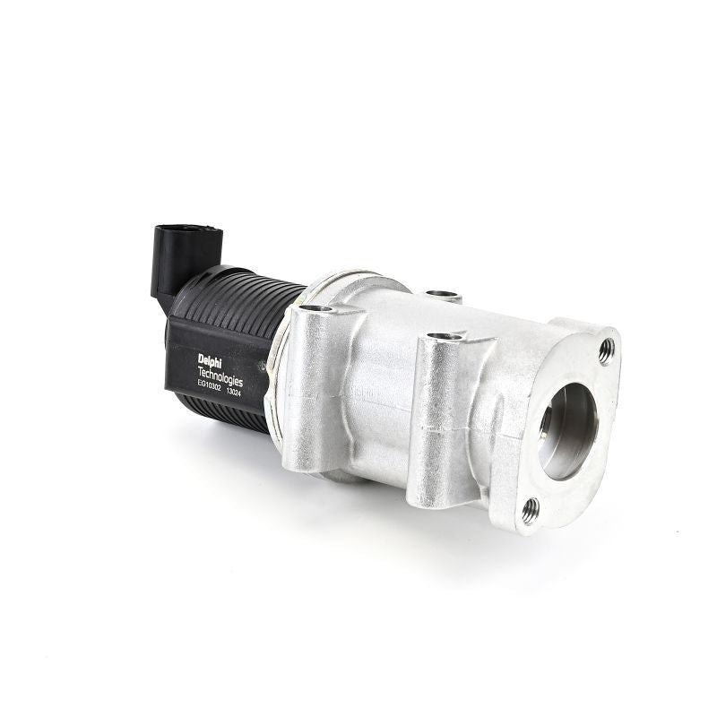Delphi EG10302-12B1 EGR Valve - 5
