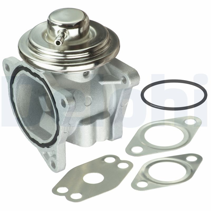 Delphi EG10421-12B1 EGR Valve - 1