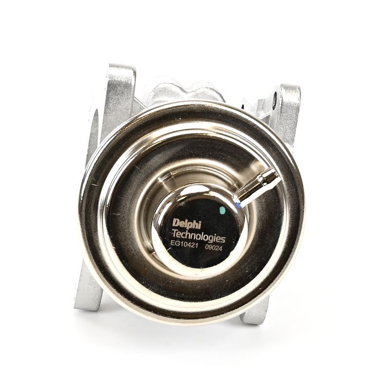 Delphi EG10421-12B1 EGR Valve - 2
