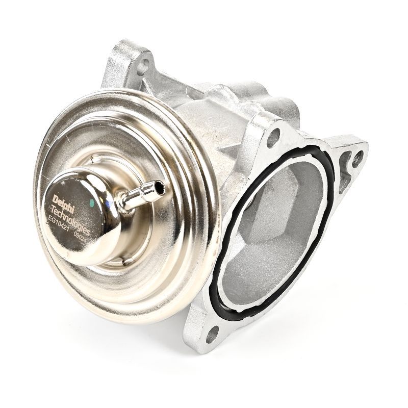 Delphi EG10421-12B1 EGR Valve - 5