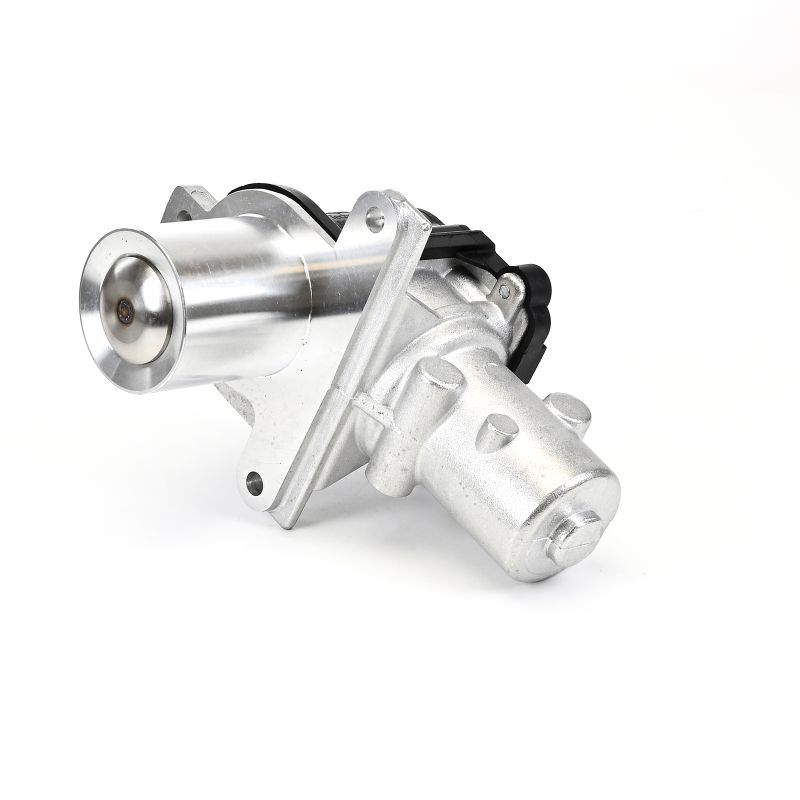 Delphi EG10425-12B1 EGR Valve - 5