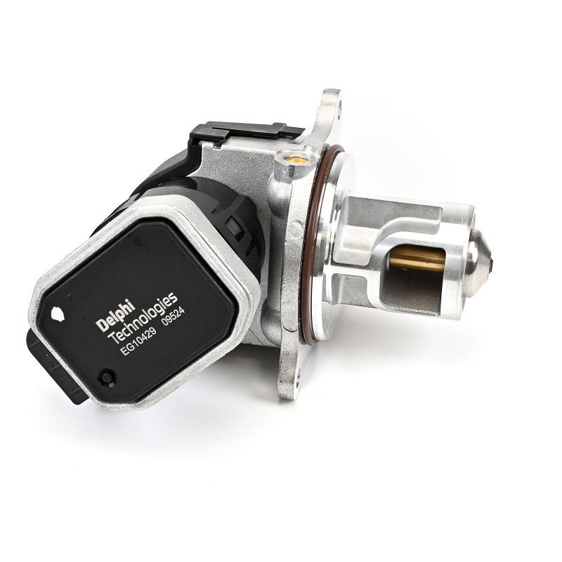 Delphi EG10429-12B1 EGR Valve - 3