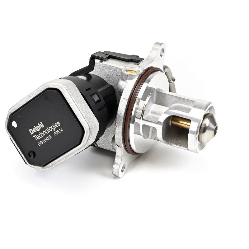 Delphi EG10429-12B1 EGR Valve - 4