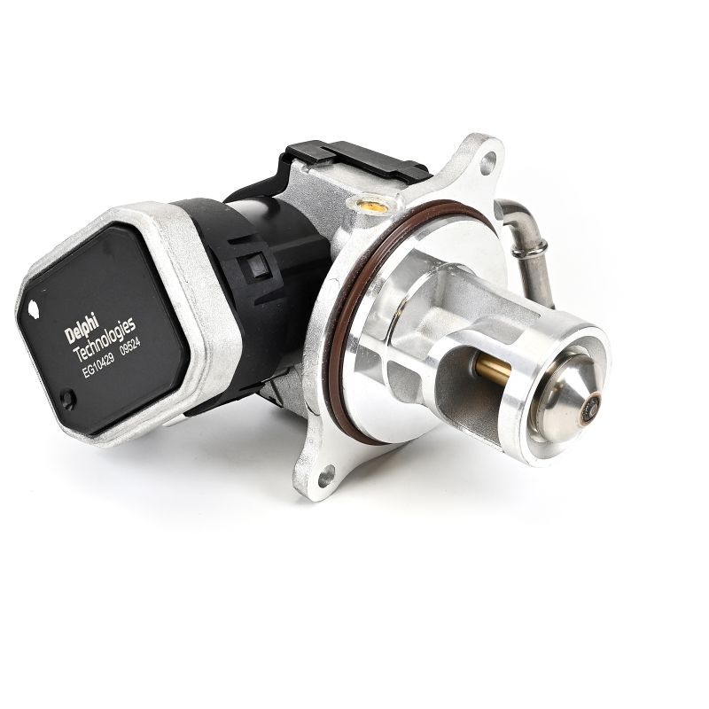 Delphi EG10429-12B1 EGR Valve - 5