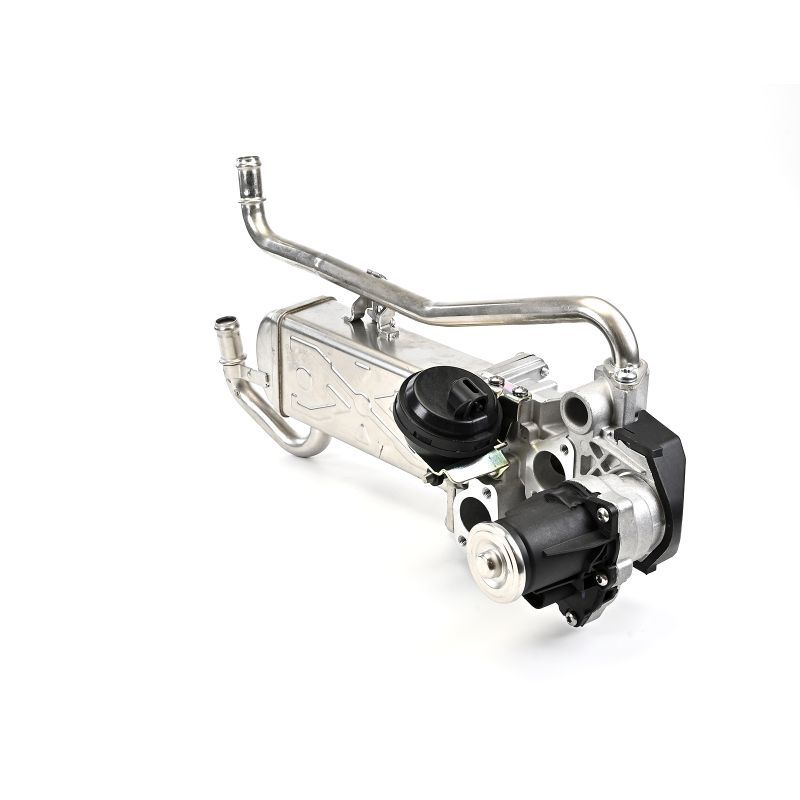 Delphi EG10432-12B1 EGR Valve - 5