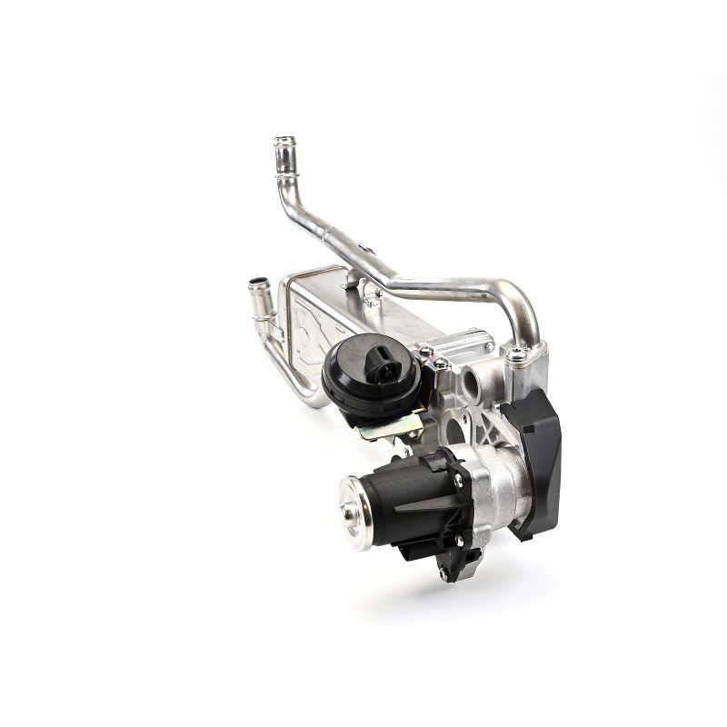 Delphi EG10432-12B1 EGR Valve - 6