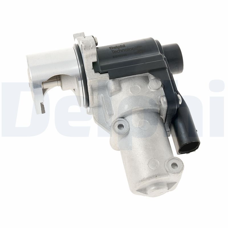 Delphi EG10645-12B1 EGR Valve - 1