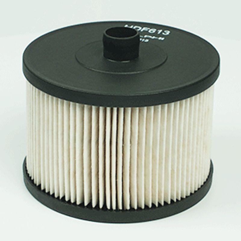 Delphi HDF613 Fuel Filter - 3