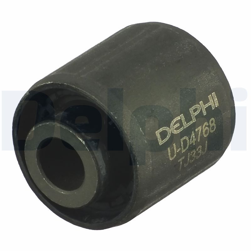 Delphi TD1028W Mounting, control/trailing arm - 1